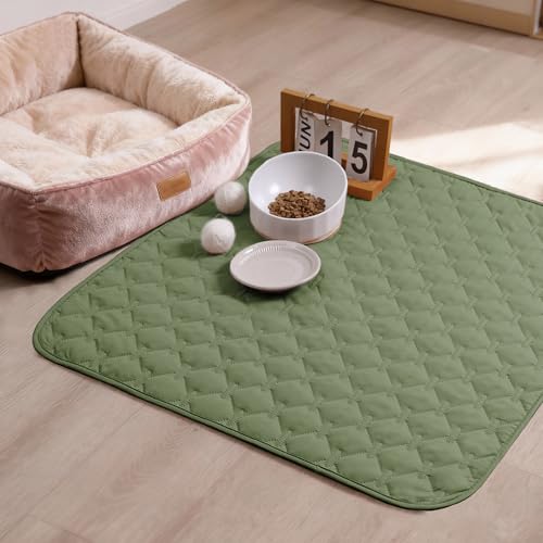 Gogobunny furniture protector on sofa highlights scratch and stain defense.