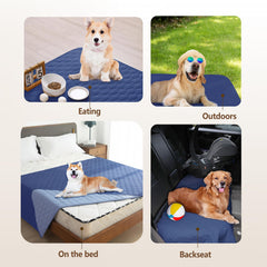 Gogobunny sofa-protecting blanket guards against scratches and saliva on a couch.