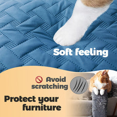 Gogobunny hair-blocking blanket helps keep couches cleaner and easier to maintain.