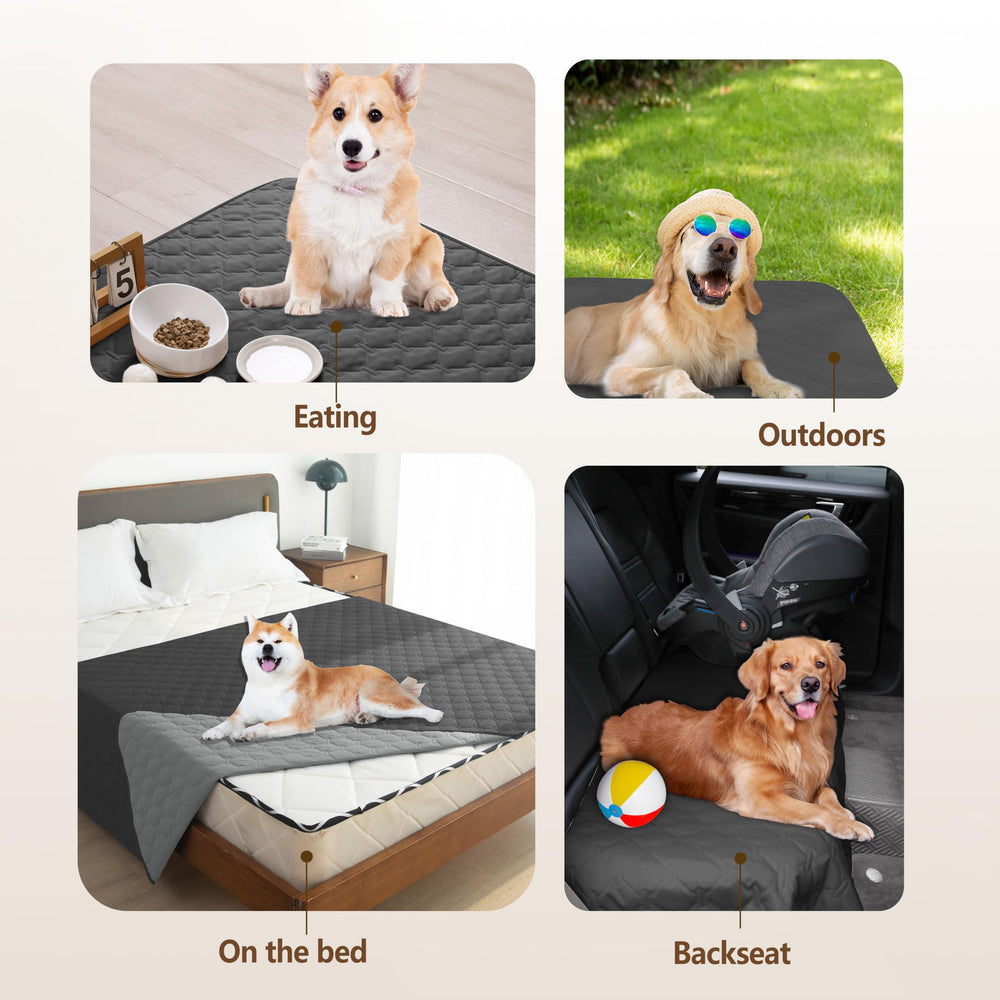 gogobunny machine-washable blanket shown near washing instruction for easy care