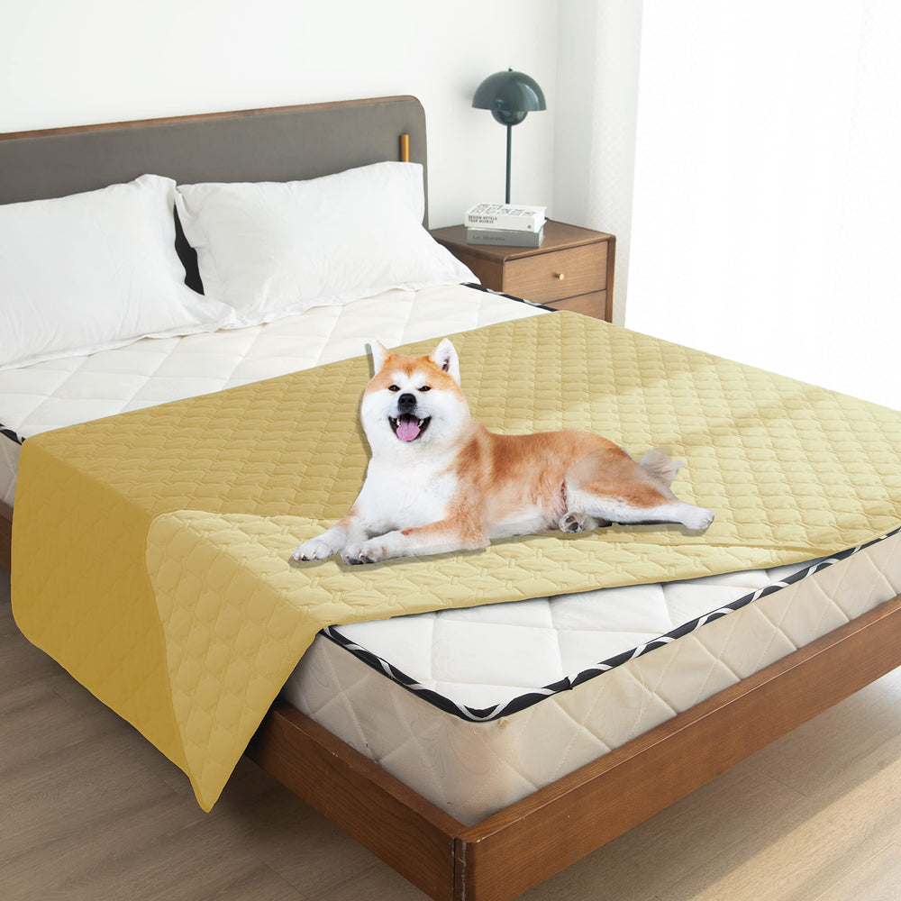 Gogobunny machine-washable pet blanket simplifies cleanup after muddy adventures.