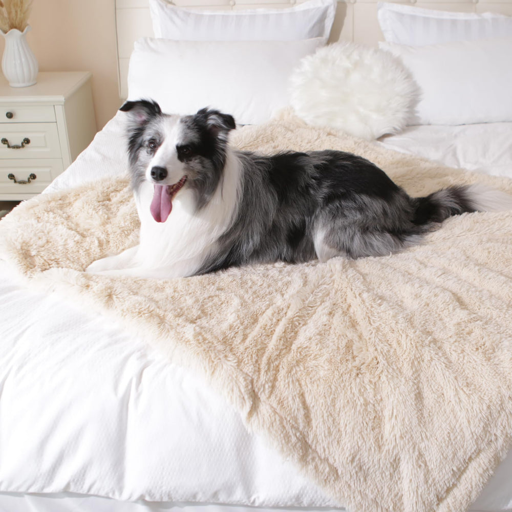 Gogobunny machine washable blanket for easy care after messes.