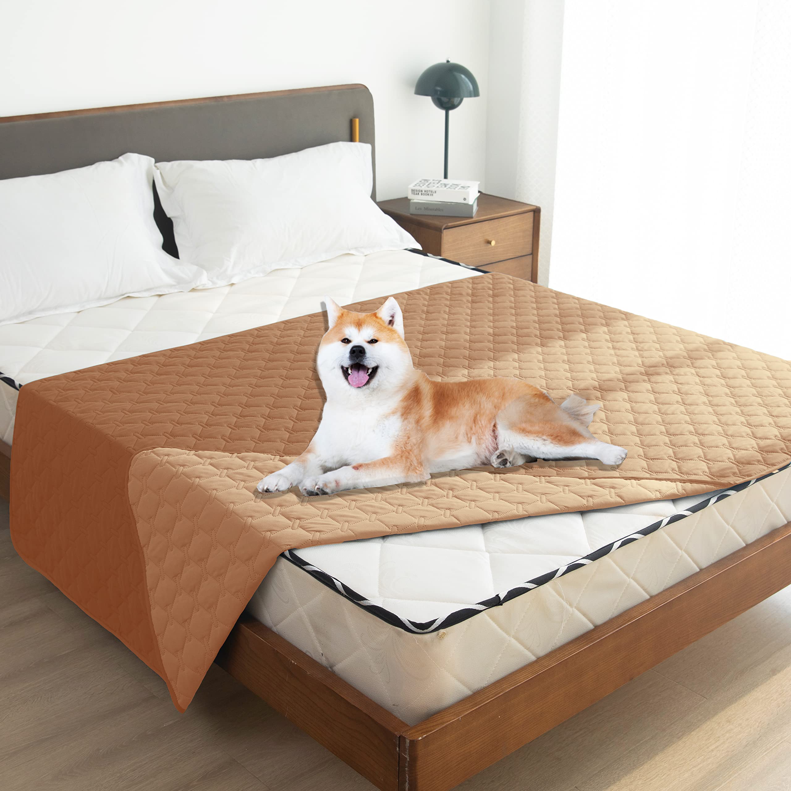 gogobunny machine-washable dog blanket with mild-detergent care