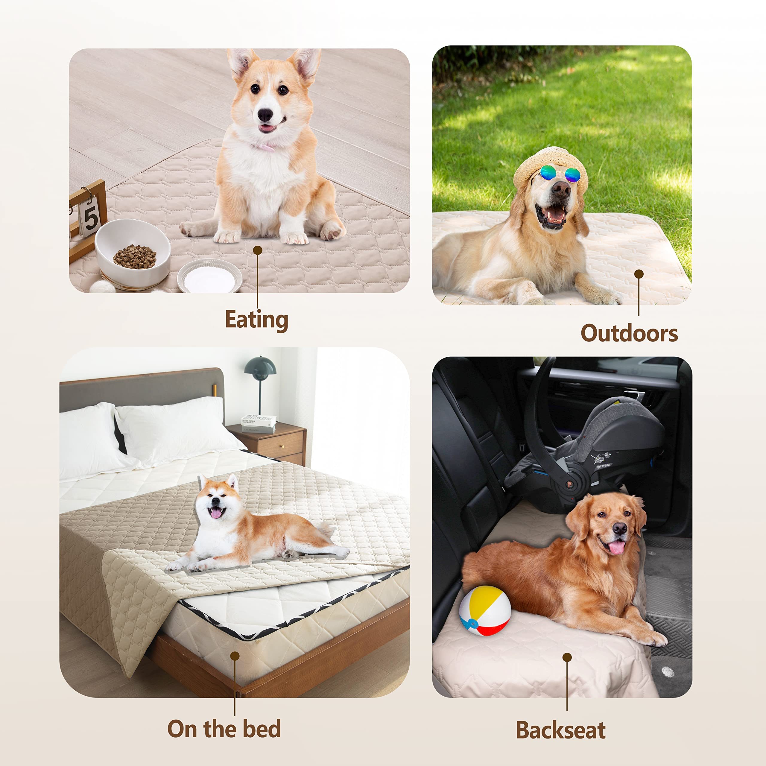 Gogobunny pet blanket supports indoor and outdoor use for travel and picnics.