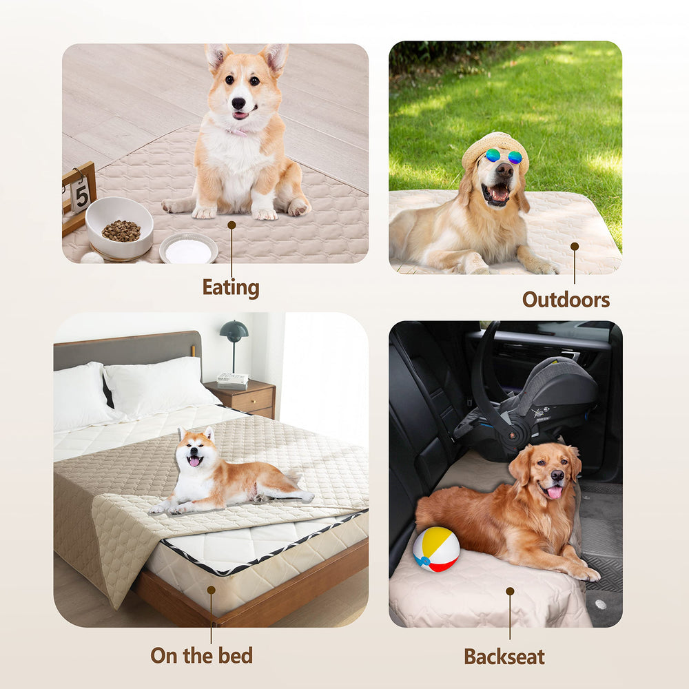 Gogobunny pet blanket supports indoor and outdoor use for travel and picnics.