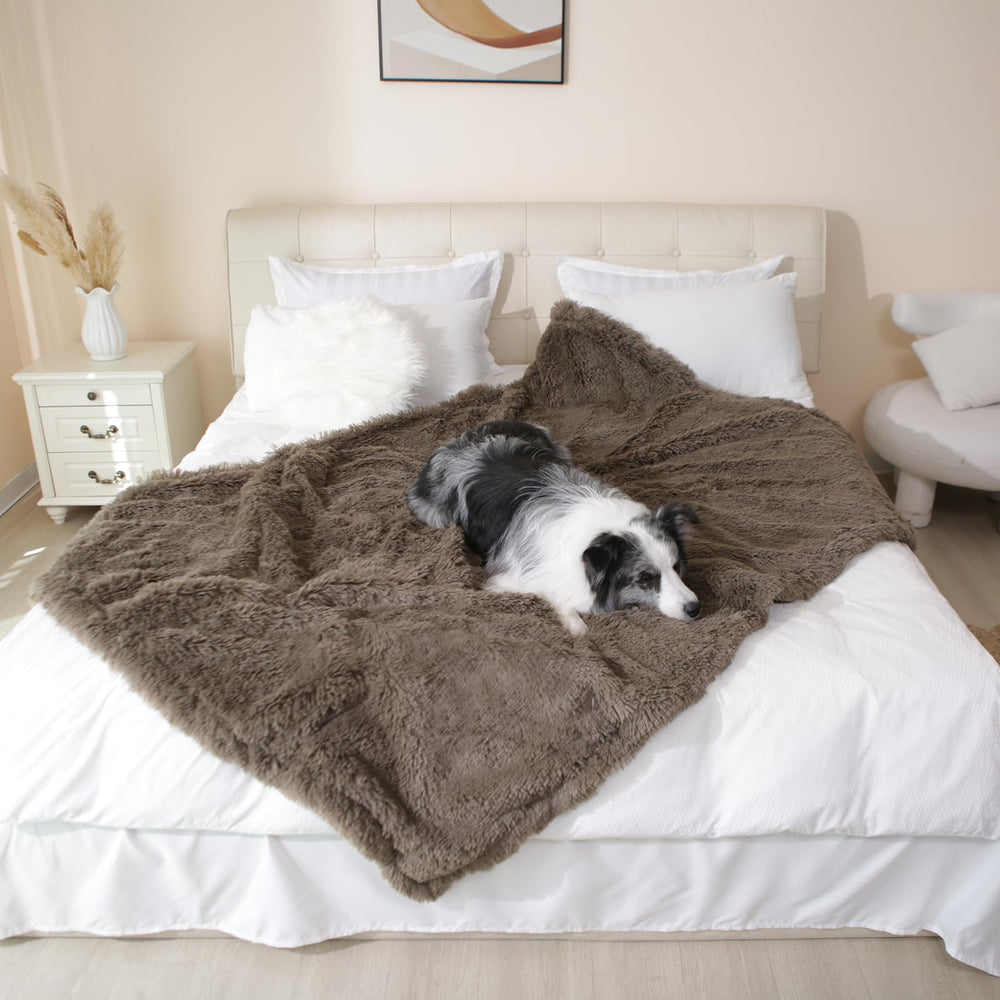 Gogobunny kennel mat and blanket combo helps soothe dogs in crates and shelters.
