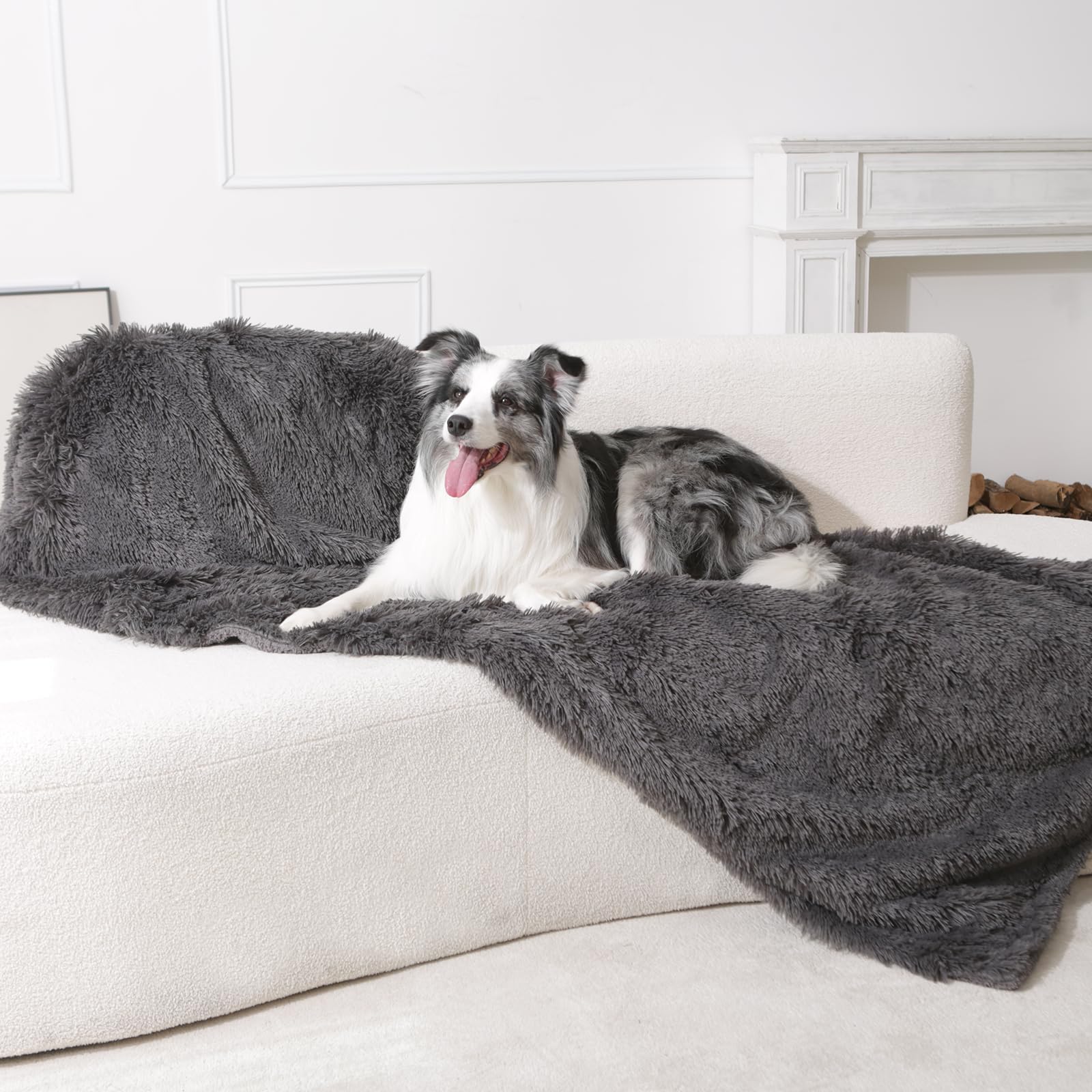 gogobunny pet blanket on sofa illustrates stylish protection for sofas and beds.