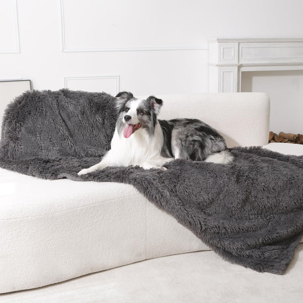 gogobunny pet blanket on sofa illustrates stylish protection for sofas and beds.