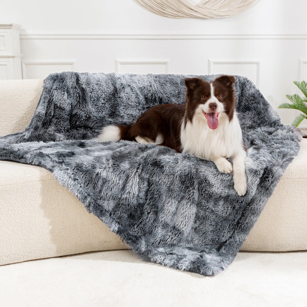 gogobunny puppy and cat snuggling blanket creates a comforting space.