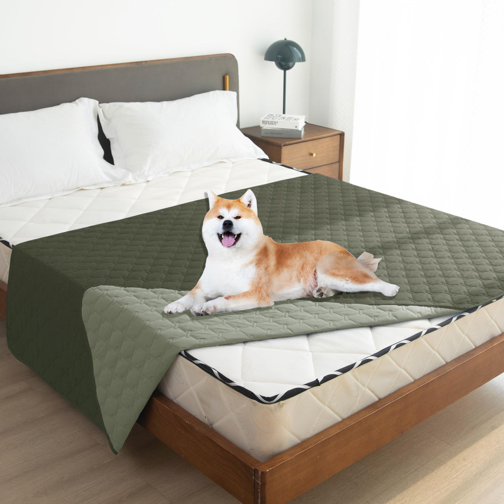 gogobunny reversible plaid pattern blanket offering two colors for stylish room protection