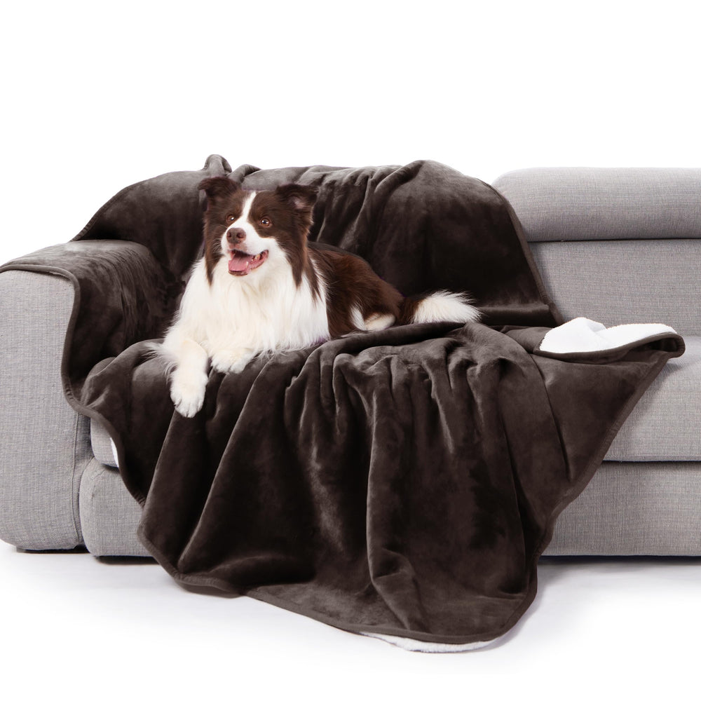 Gogobunny waterproof bed blanket on bed protects against spills and messes.