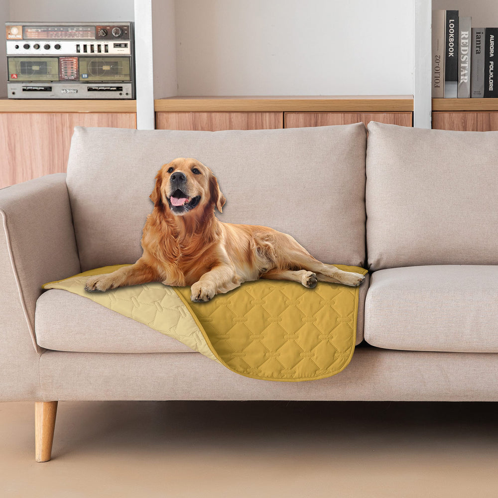 Gogobunny waterproof dog bed cover with plaid design provides double protection for furniture.