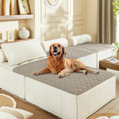 gogobunny waterproof double-sided dog blanket protects furniture with dual layers.