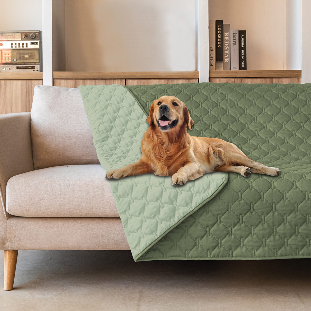 Gogobunny waterproof-outer-layer dog bed cover guards furniture from spills and accidents.