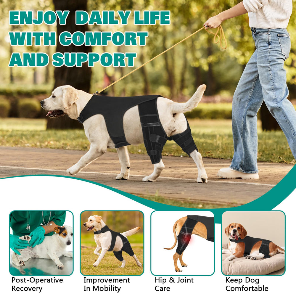 GoGoPaw size-chart focus indicates true-fit guidance across six sizes