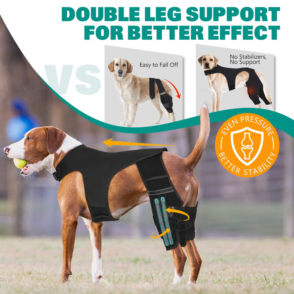 GoGoPaw knee brace with Velcro-harness connection proves secure positioning during walks