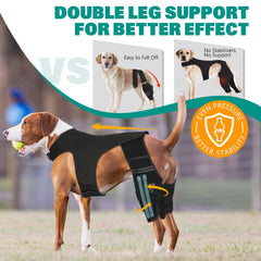 GoGoPaw knee brace with Velcro-harness connection proves secure positioning during walks