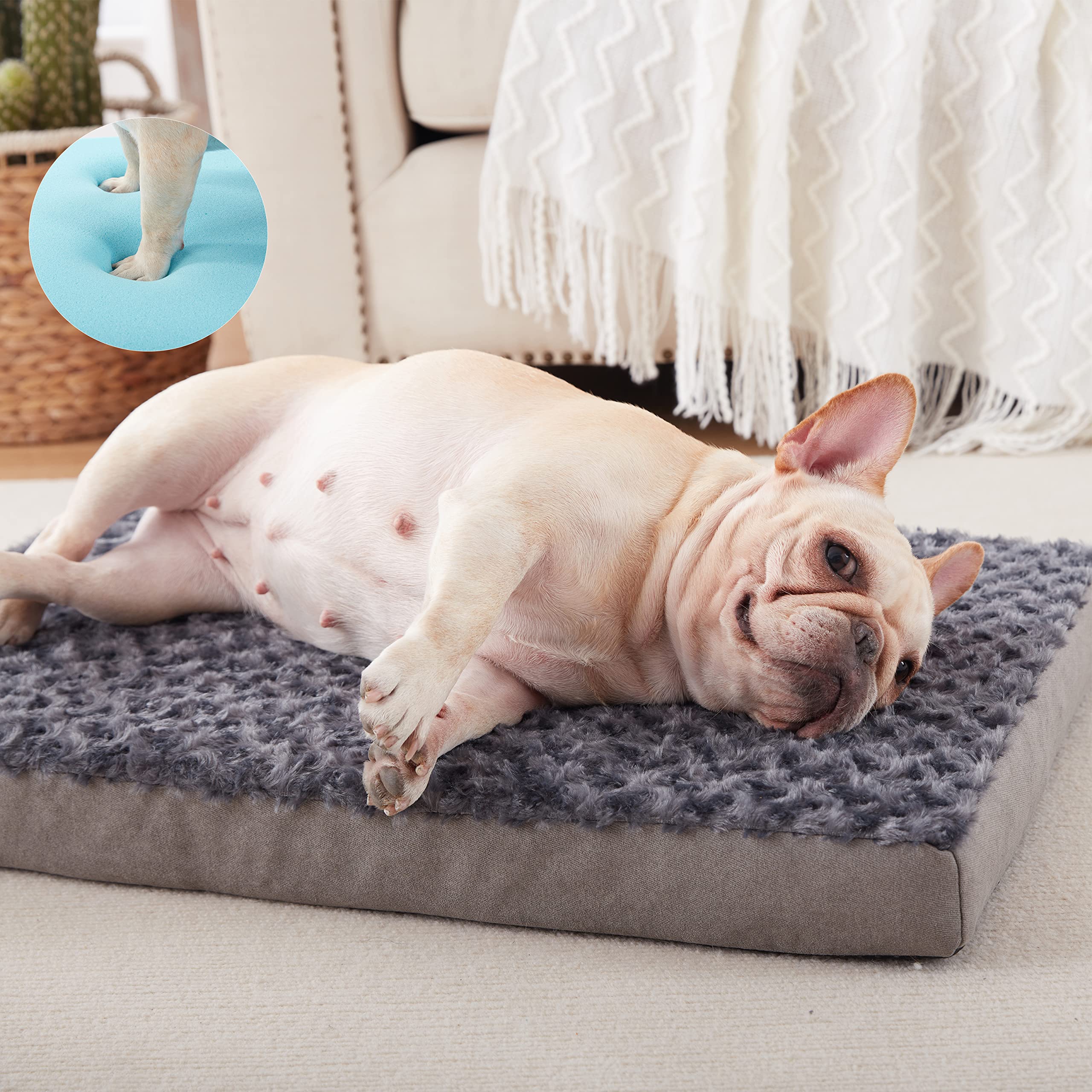 GOHOO PET waterproof lining demonstrates spill protection and easy cleanup.