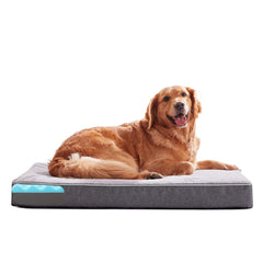 GOHOO PET orthopedic memory foam bed close-up surface with plush cover for comfort