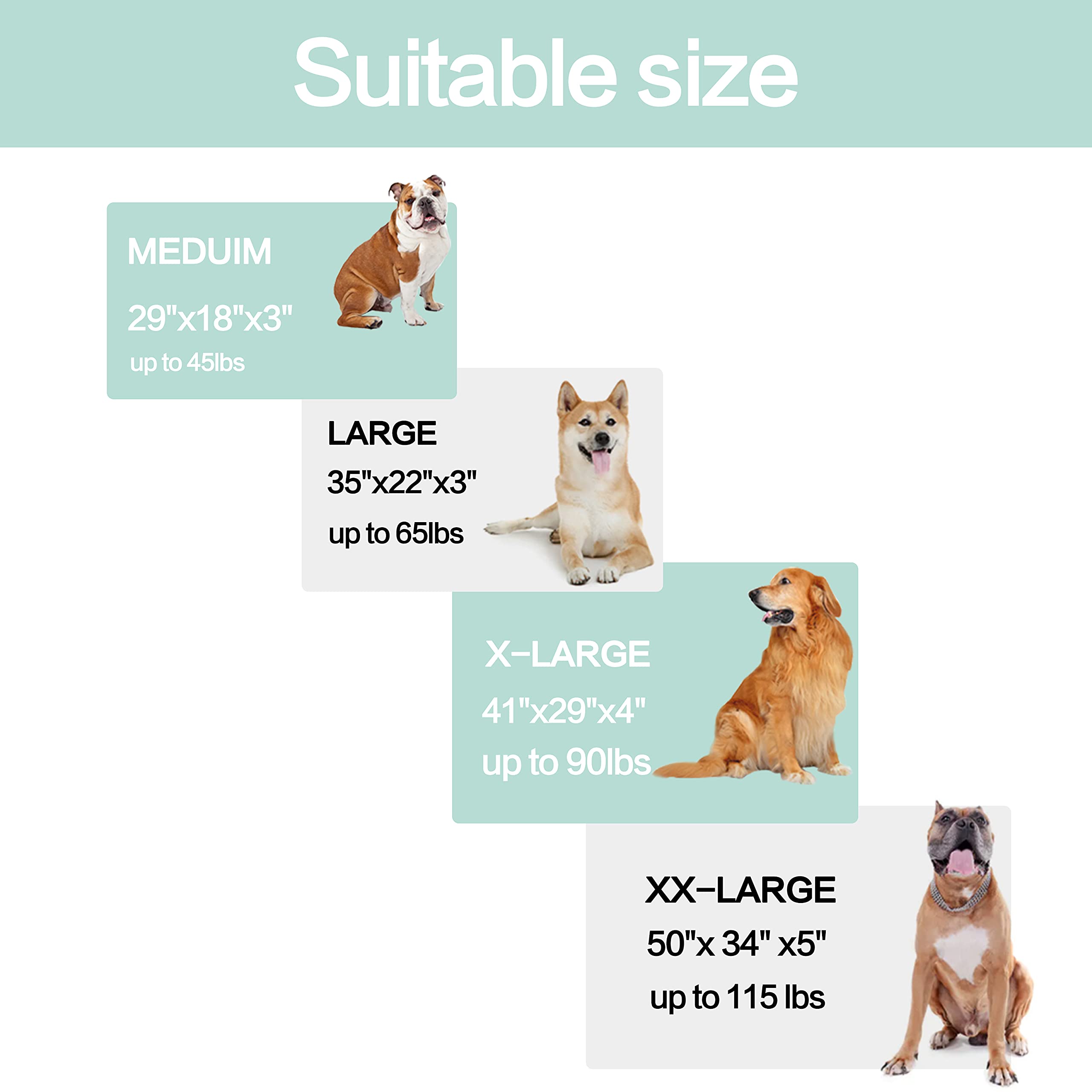 GOHOO PET size options from M to XXL for different dogs