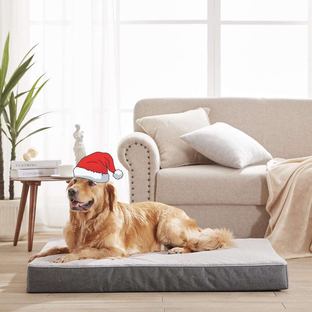 GOHOO PET soft rabbit-fur surface invites cozy rest