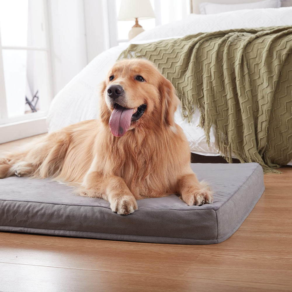 GOHOO PET waterproof lining helps keep the bed clean in daily use