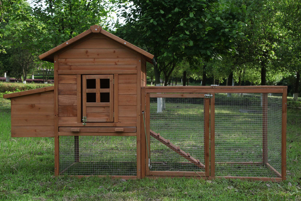 GOJOOASIS elevated main house avoids wet conditions and supports dry nesting