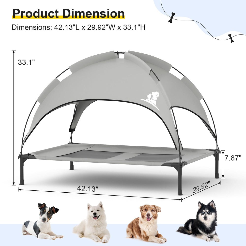 GOJOOASIS tool-free assembly illustrates quick setup for backyard or hiking trips.