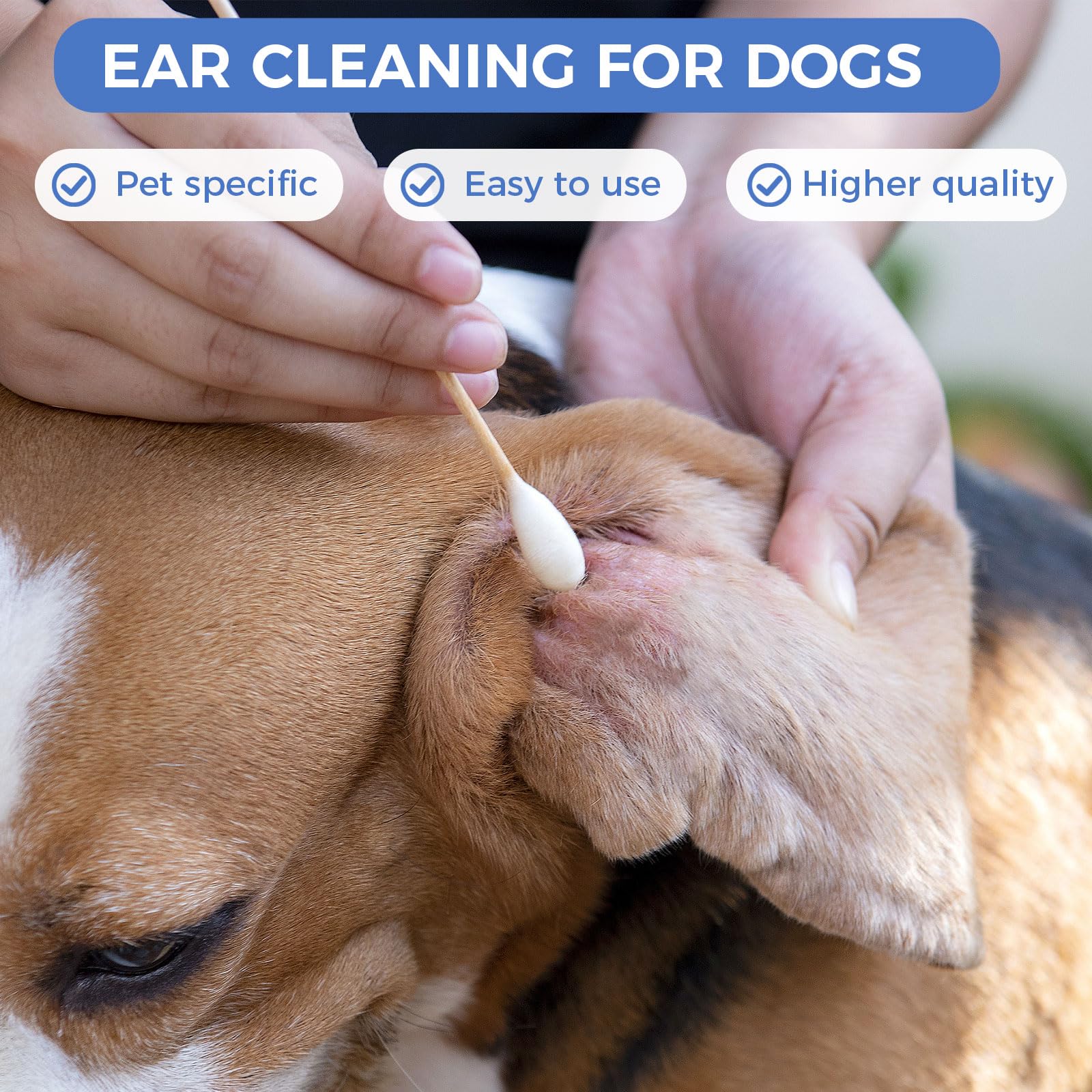GOLD HONEY disposable dog ear swabs ready for quick, hygienic cleanup after outdoor adventures