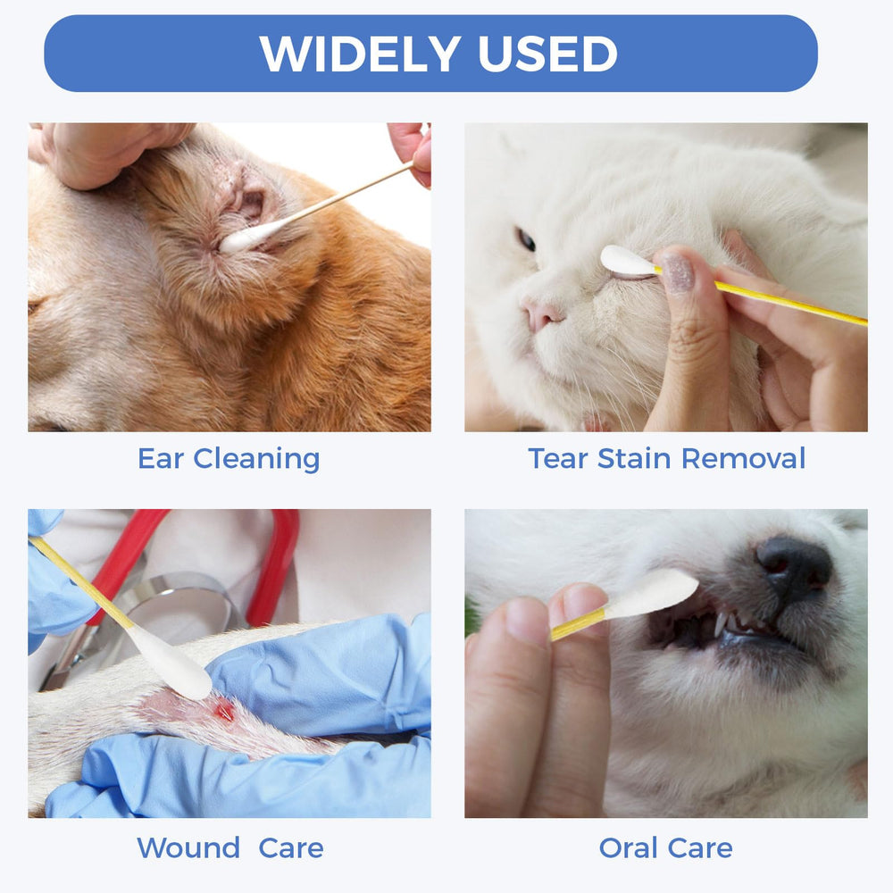 GOLD HONEY multipurpose pet care image shows versatile use around eyes and nose with care