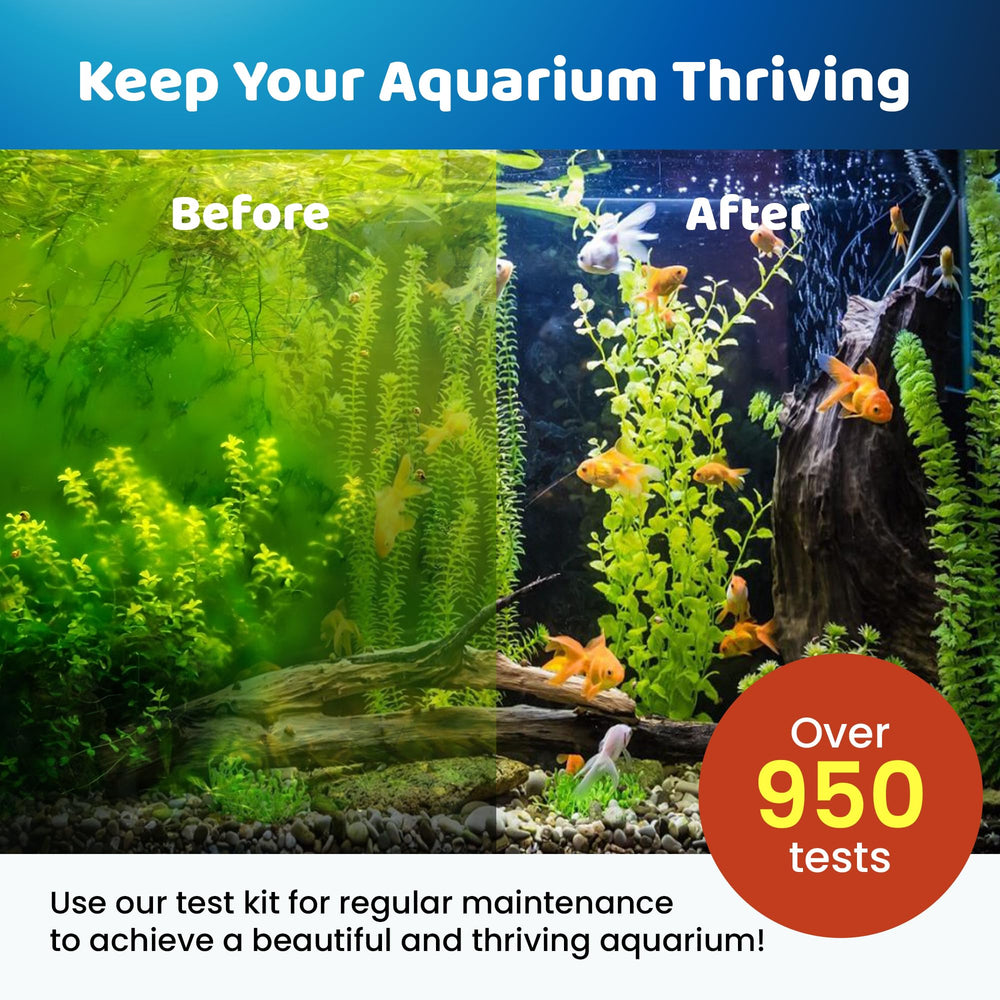 Gold Label Pet Care bonus strips for quick water parameter checks.