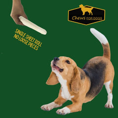 Golden Chews 20-pack rawhide twists for convenient dog chew sessions
