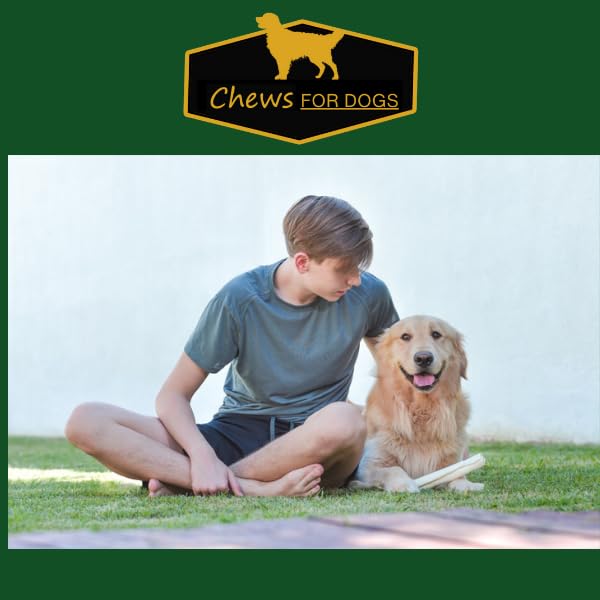 GOLDEN Chews long chew session demonstrates engagement for dogs