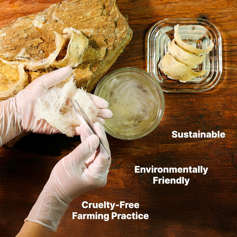 Golden Nest serving cup demonstrates ready-to-enjoy beverage for a quick wellness moment.