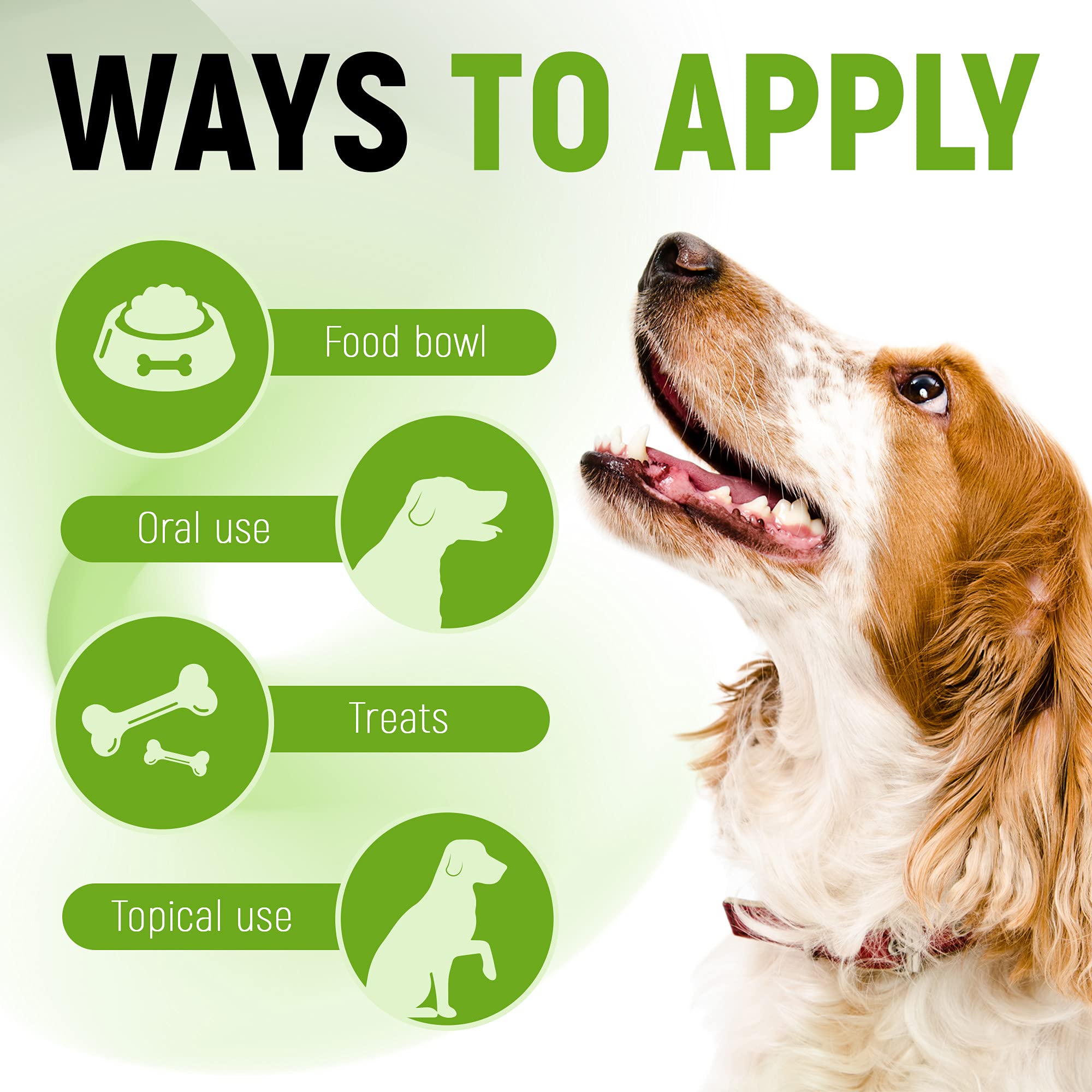 Golden Paw 3b cfu liquid probiotic provides gut-friendly daily support.