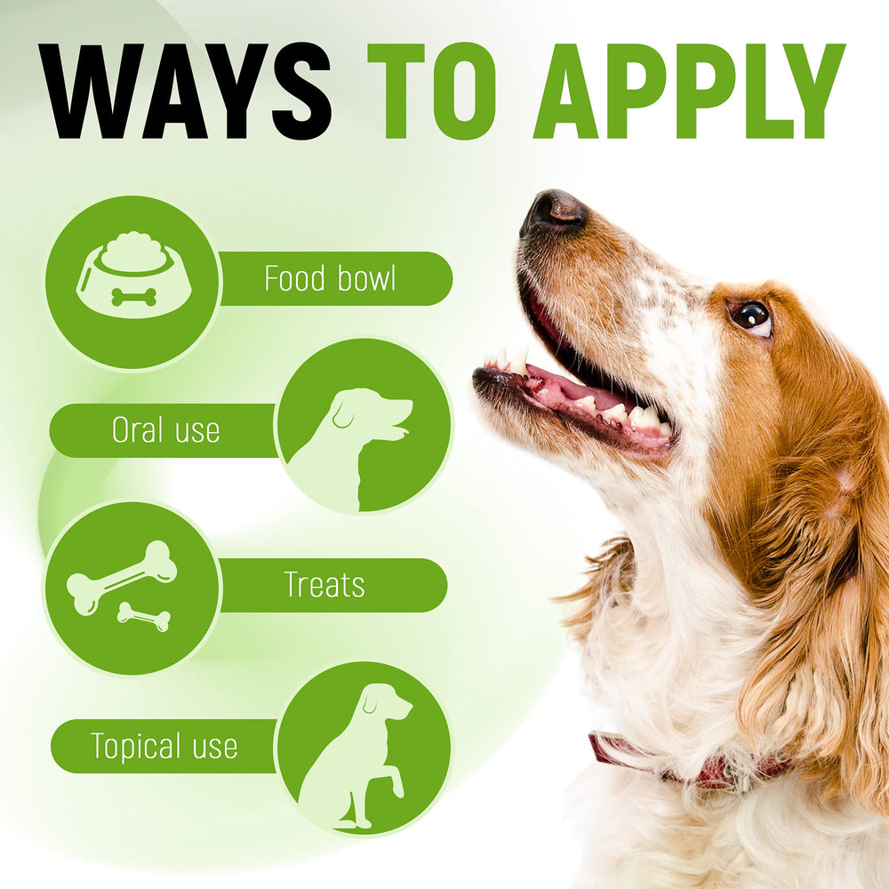 Golden Paw 3b cfu liquid probiotic provides gut-friendly daily support.