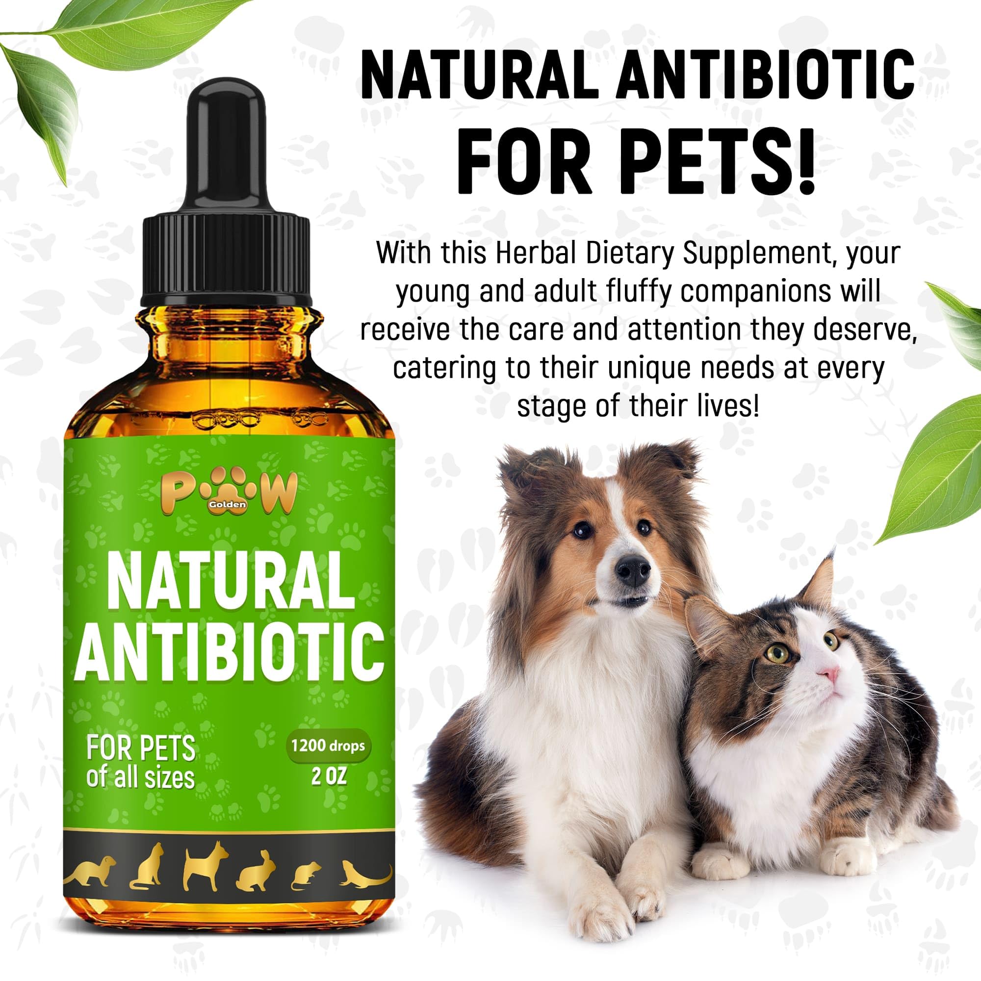 Golden Paw coat and skin support from a natural blend.