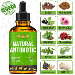 Golden Paw cranberry ingredient highlights urinary wellness support.