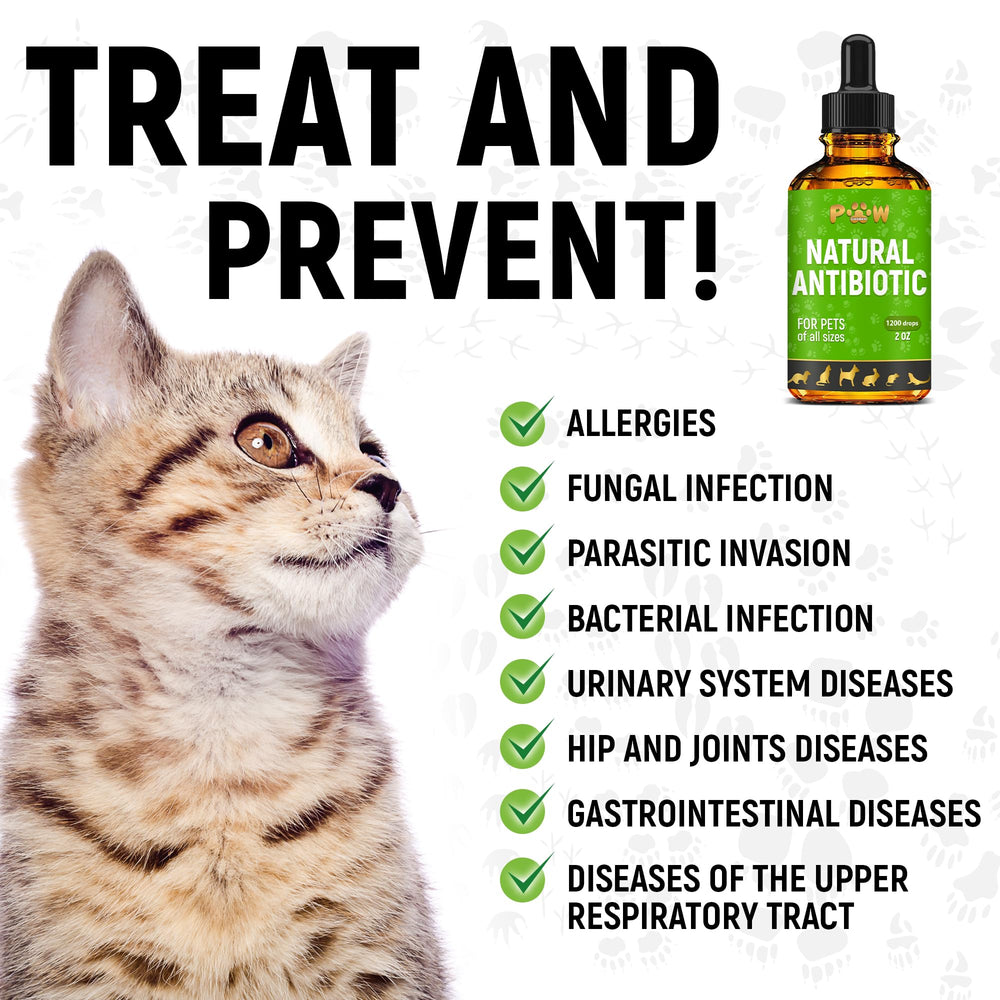 Golden Paw for dogs and cats shows versatile use across breeds.