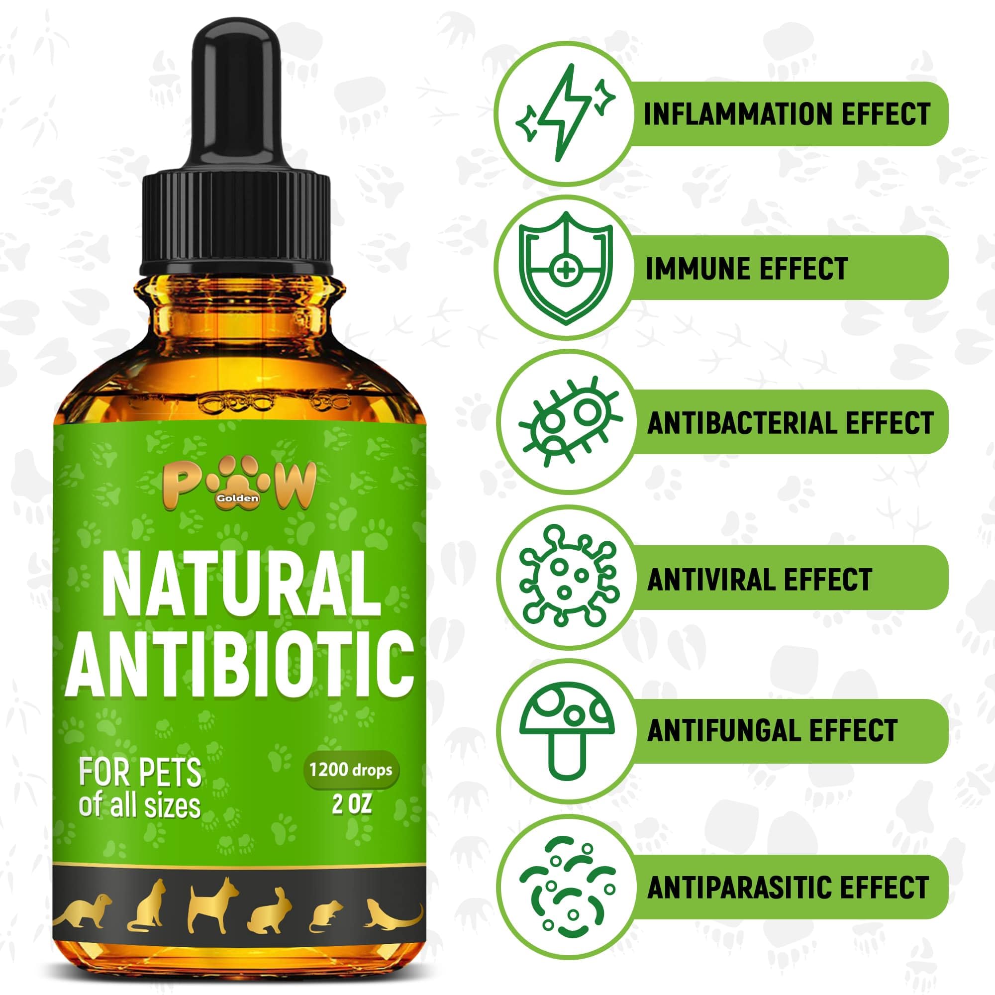 Golden Paw antibiotics drops dosing demonstrates easy administration for dogs and cats.