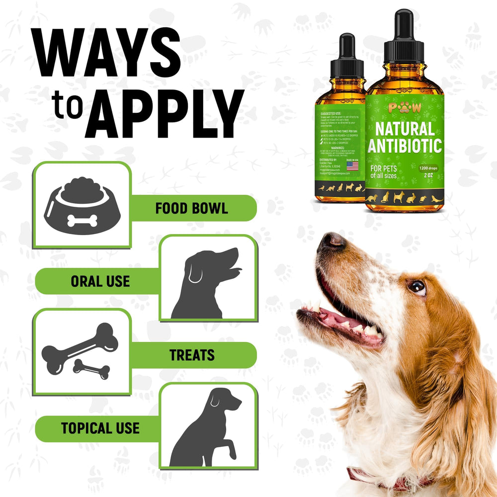 Golden Paw oregano herb signals natural antimicrobial-inspired support.