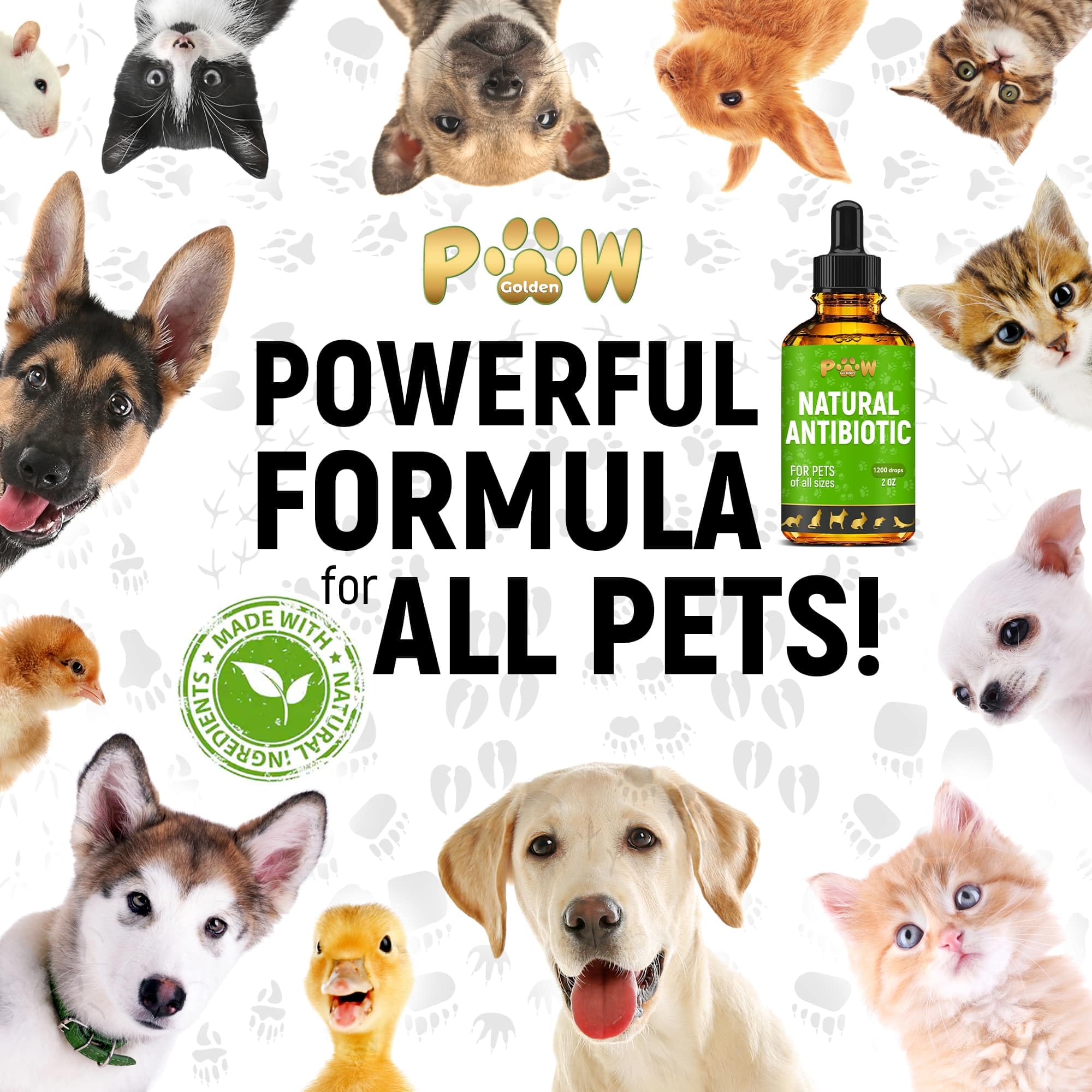 Golden Paw organic formula emphasizes clean, plant-based pet care.