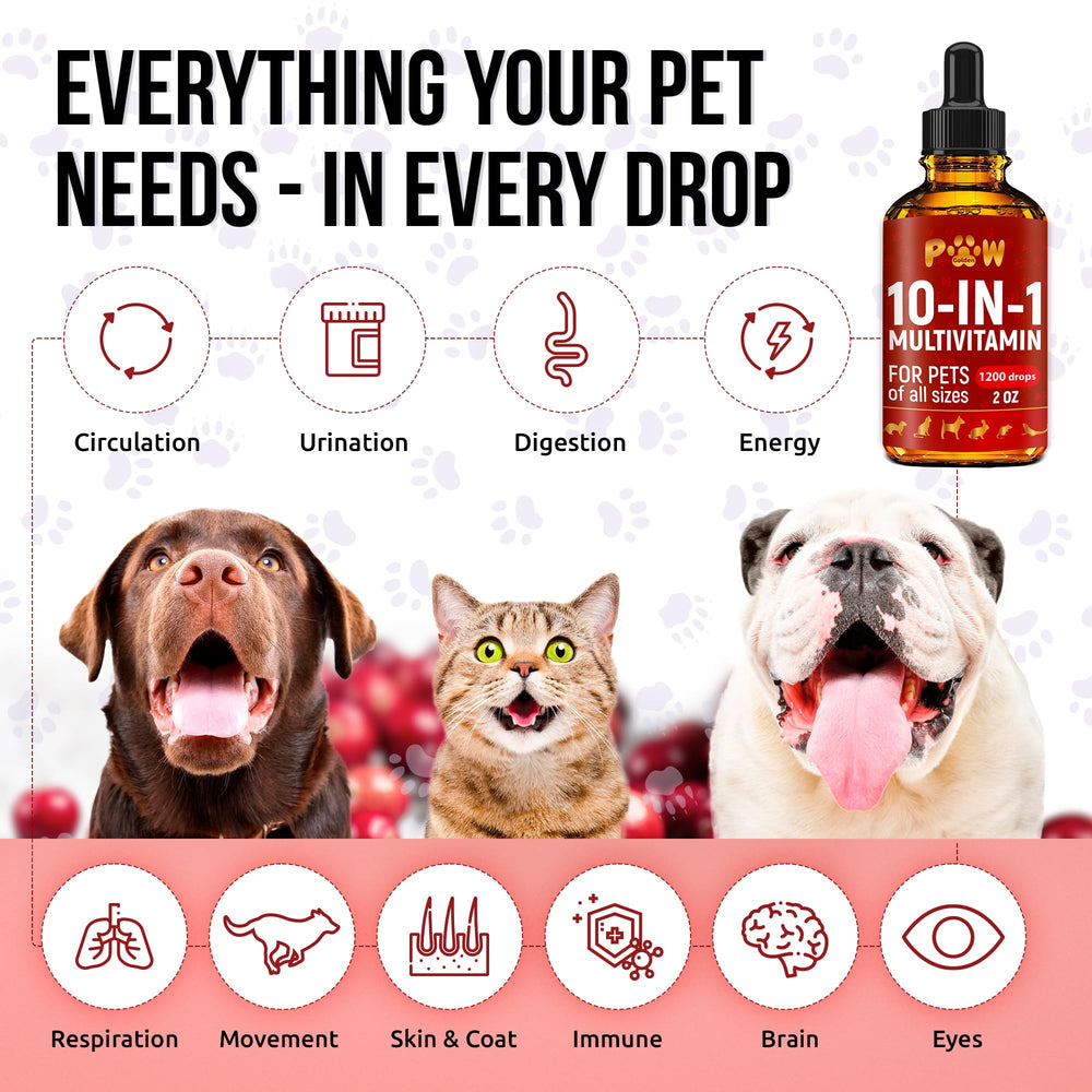 Golden Paw cat skin coat glow showing healthy fur and shine