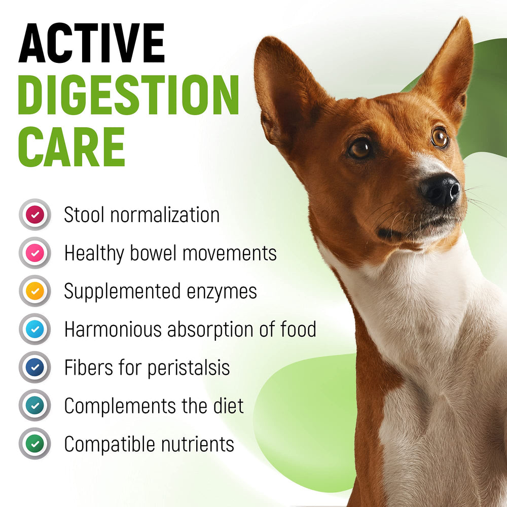 Golden Paw liquid probiotics dogs cats serving demonstrates simple dosing for digestive balance.