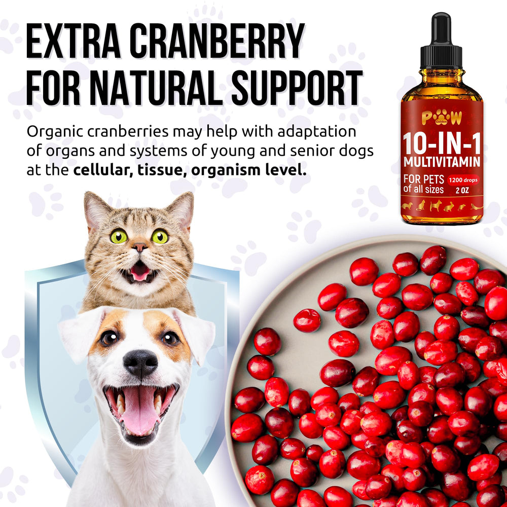 Golden Paw organic daily formula label emphasizing GMO-free ingredients