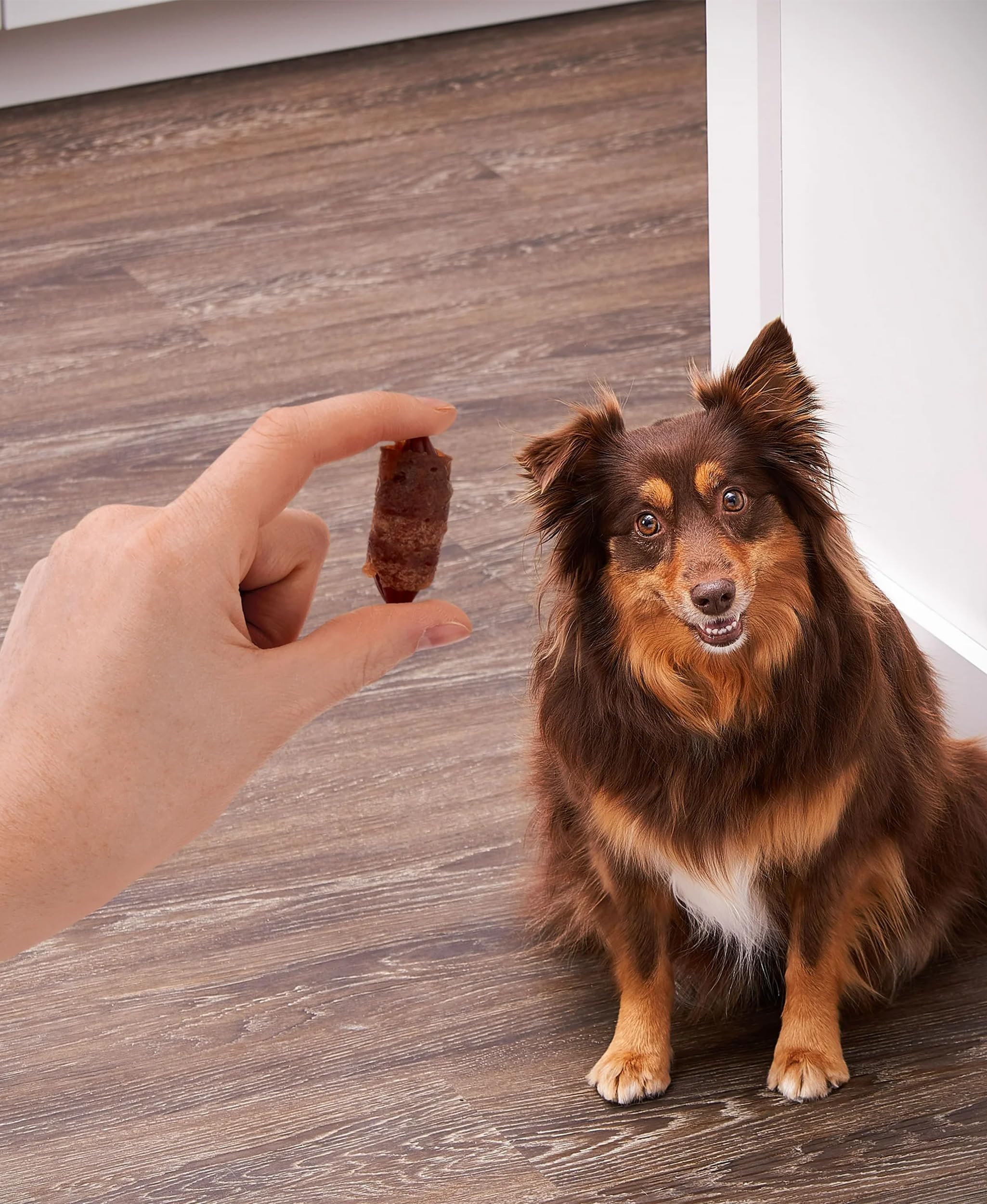 Golden Rewards air-dried jerky texture — real chicken and pork flavor dogs love