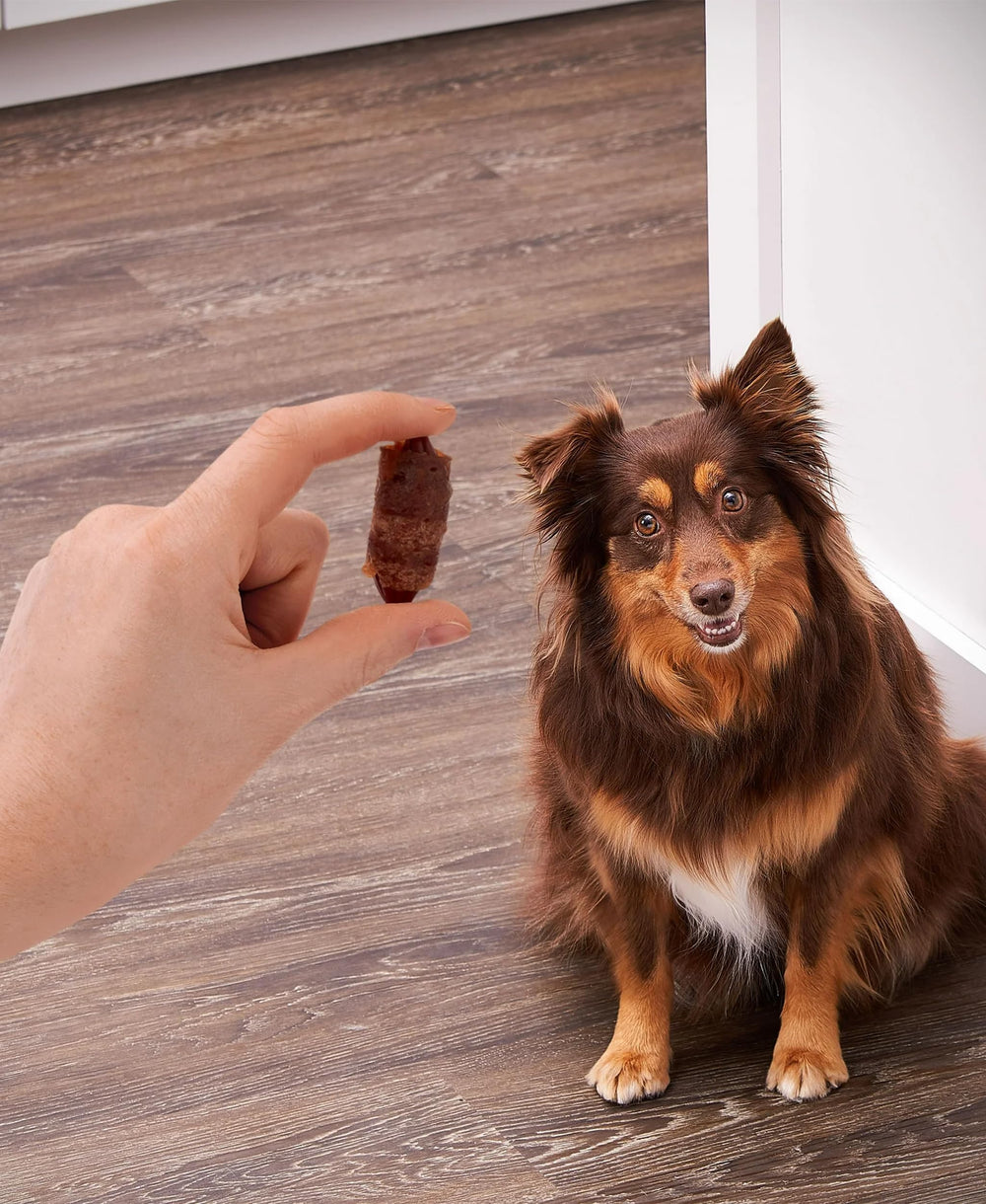 Golden Rewards air-dried jerky texture — real chicken and pork flavor dogs love