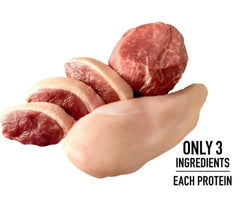 Golden Rewards beef jerky closeup makes a savory training snack.