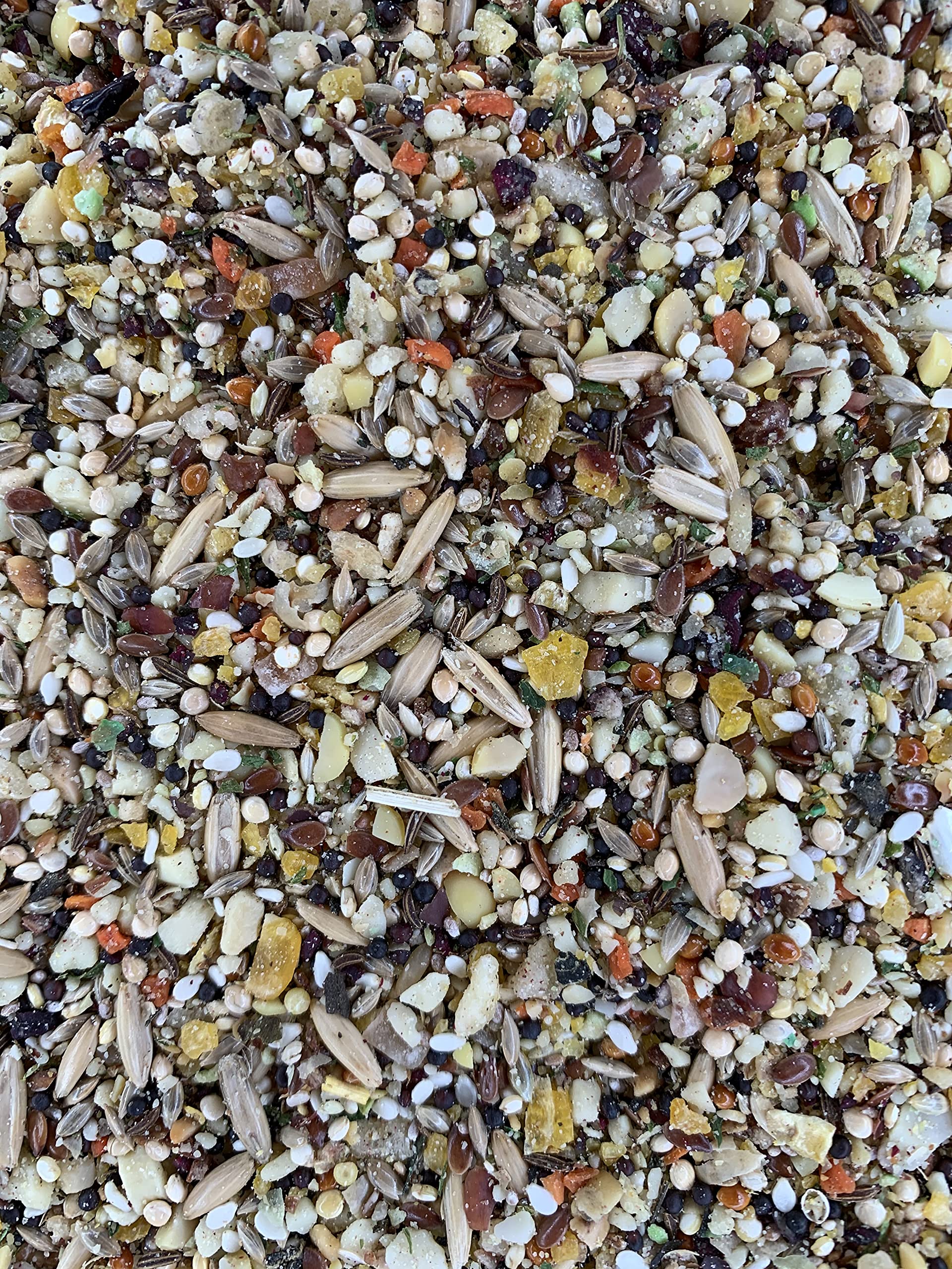 Goldenfeast VL Patagonian Blend serving bowl demonstrates ready-to-serve mix for active birds