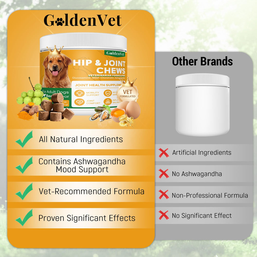 GOLDENVET Hip and Joint Chews label shows glucosamine and green-lipped mussel for joint care.